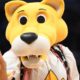 Denver Nuggets’ Rocky Revealed as Highest-Paid NBA Mascot With $625,000 USD Salary