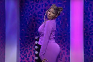 Here’s Everything Megan Thee Stallion Did as SNL’s Host