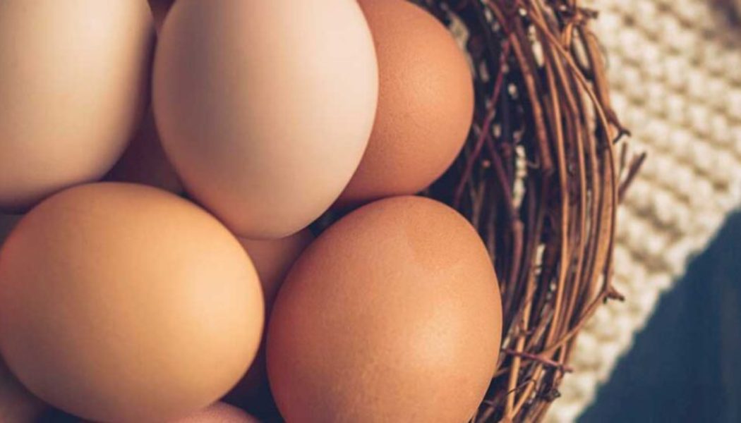 HOW I DISCOVER AN EGG CAN HELP YOU AVOID HARDSHIP , DELAY AND DISAPPOINTMENT IN YOUR LIFE.