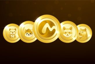 Inu & meme equivalent to Cleverminu token launched with 1 trillion IMO sale