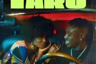 Lisa Yaro ft Zlatan – Yaro