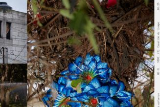 Mabe Fratti: Se Ve Desde Aquí