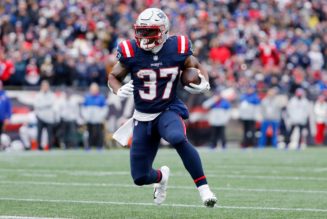 New England Patriots Backfield Gets Thinner Due to Injury