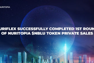 NuriFlex successfully completed 1st round of NuriTopia $NBLU token private sales