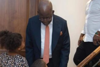 PHOTOS: Tinubu Son Shares Photos Of Tinubu Playing With Grandchildren