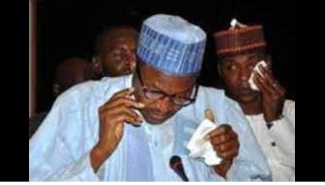 President Buhari cried because Spaghetti cost ₦95 in 2014