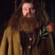 Robbie Coltrane, Actor Who Portrayed Hagrid in ‘Harry Potter’, Dies at 72