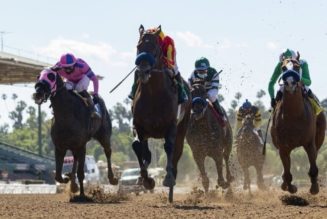 Rodeo Drive Stakes 2022 Betting Guide For Santa Anita Race