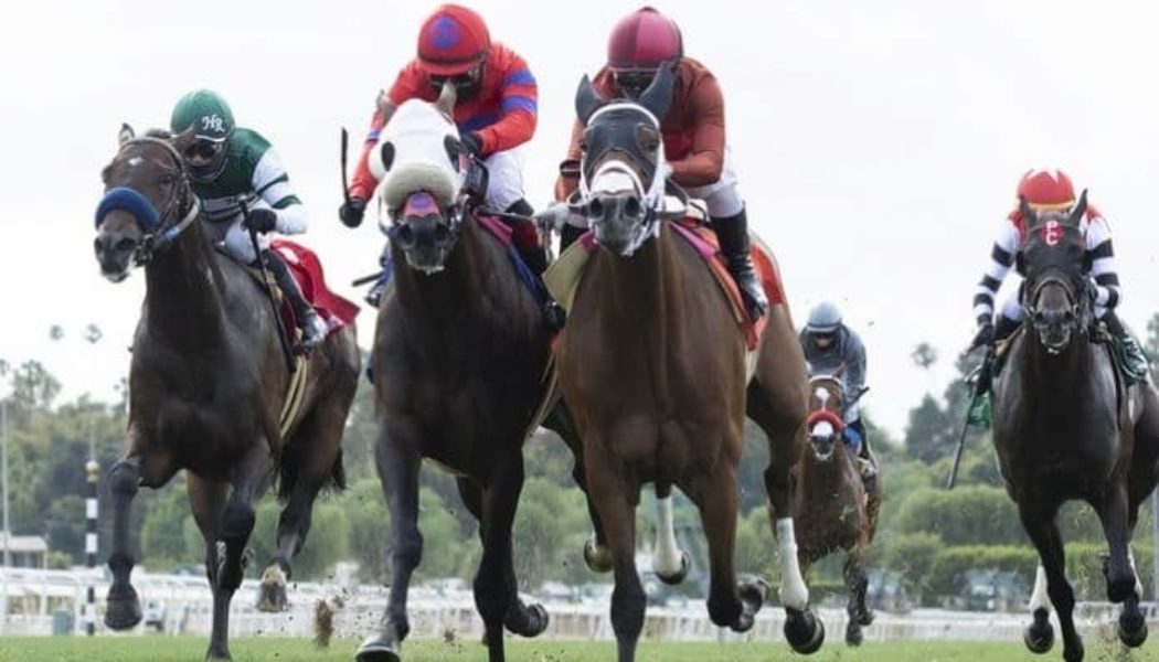 Rodeo Drive Stakes 2022: Santa Anita Runners, Picks & Betting