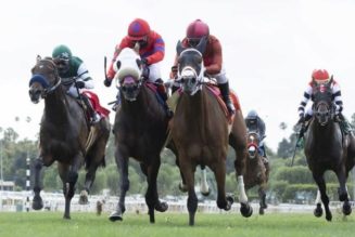 Rodeo Drive Stakes 2022: Santa Anita Runners, Picks & Betting