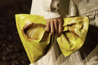 So Salty: Balenciaga Unveils Purse That Looks Like Lay’s Potato Chip Bag