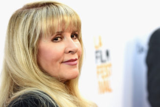 Stevie Nicks Shares Poem and Teases New Song Ahead of Midterms: “They’ll Take Your Soul”