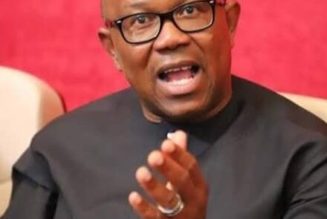 They Want To Put Me In Detention Because I Said It’s Those In Govt That Steal Oil – Peter Obi