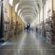 Tourist Damages 2,000-Year-Old Roman Busts at Vatican Museums