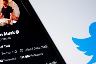 Twitter Hit With Coordinated “Trolling” After Elon Musk Purchase