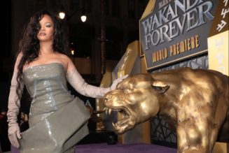 Wakanda Forever: The Navy Loves Rihanna’s Touching Tribute To Chadwick Boseman “Lift Me Up”