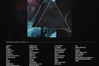 5 Reasons Why Seismic Dance Event Is a Must-Visit for Fans of Techno and House Music
