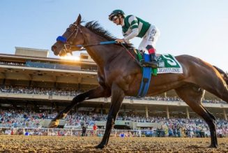 Best Breeders Cup Betting Sites In Arizona | Arizona Sports Betting Guide For Horse Racing