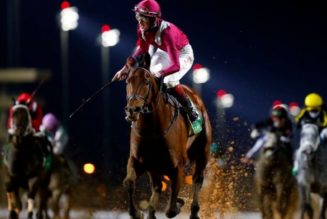 Best Breeders Cup Betting Sites In Colorado | Colorado Sports Betting Guide For Horse Racing
