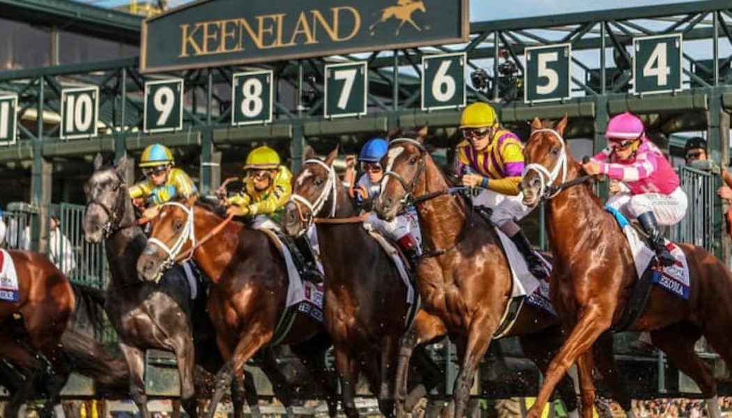 Best Breeders Cup Betting Sites In Florida | Florida Sports Betting Guide For Horse Racing