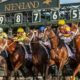 Best Breeders Cup Betting Sites In Florida | Florida Sports Betting Guide For Horse Racing