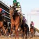 Best Breeders Cup Betting Sites In Indiana | Indiana Sports Betting Guide For Horse Racing