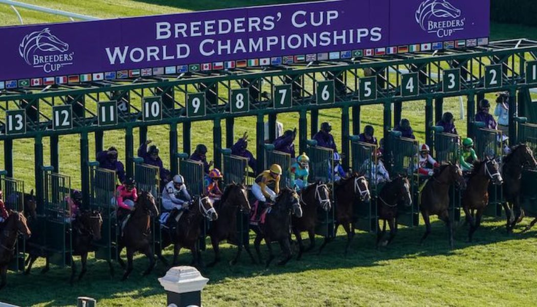 Best Breeders Cup Betting Sites In Mississippi | Mississippi Sports Betting Guide For Horse Racing
