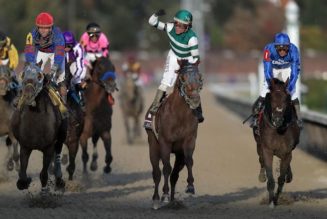 Best Breeders Cup Betting Sites In Missouri | Missouri Sports Betting Guide For Horse Racing