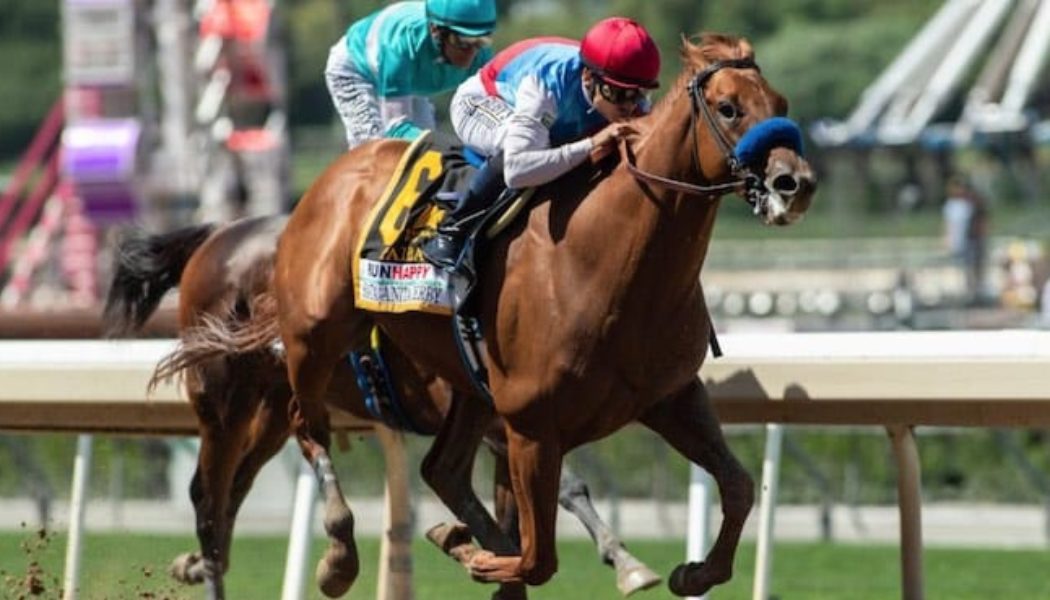 Best Breeders Cup Betting Sites In Montana | Montana Sports Betting Guide For Horse Racing