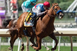 Best Breeders Cup Betting Sites In Montana | Montana Sports Betting Guide For Horse Racing