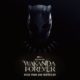 Black Panther: Wakanda Forever Soundtrack Detailed: Rihanna, Tems, Burna Boy, Future, and More