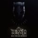 ‘Black Panther: Wakanda Forever’ Soundtrack to Feature Rihanna, Stormzy, Future and More