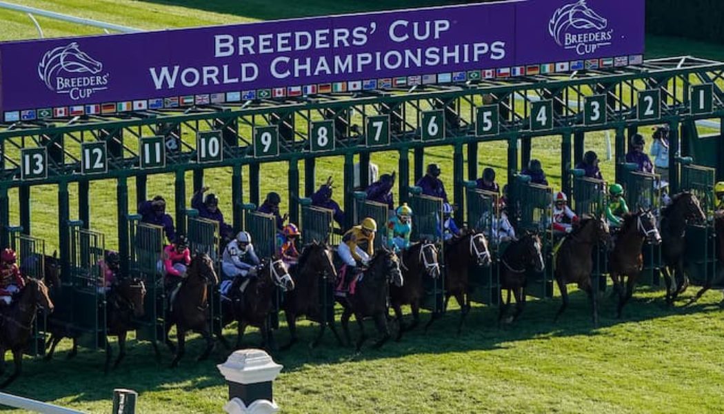 Breeders’ Cup Picks On Fri Nov 4: Keeneland Horse Racing Tips