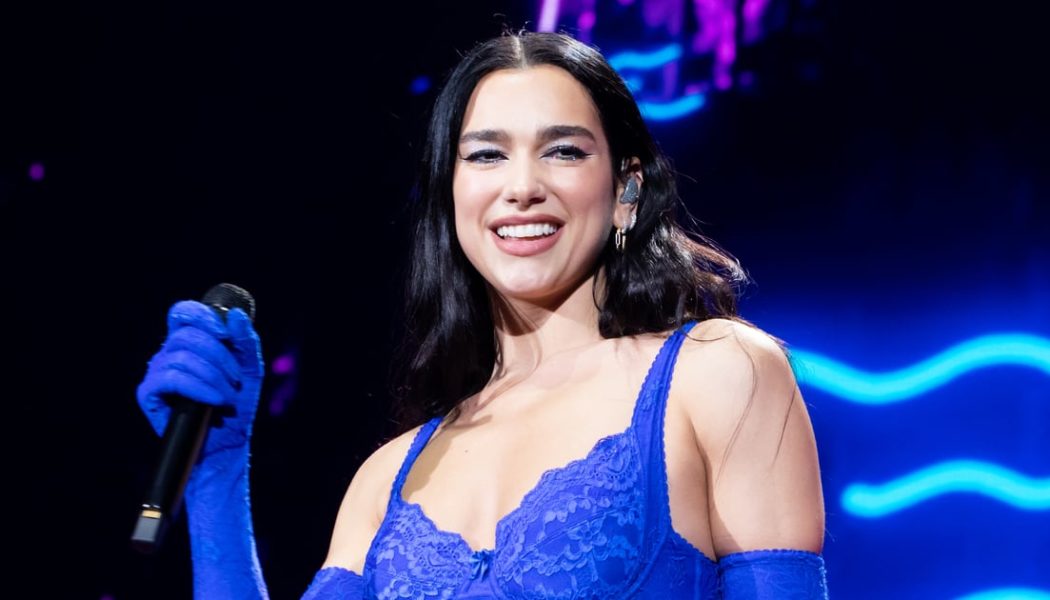 Dua Lipa Wears Patrick Star Nipple Pasties over a Fishnet Dress and Pink Thong