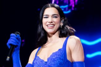 Dua Lipa Wears Patrick Star Nipple Pasties over a Fishnet Dress and Pink Thong