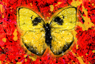 Ed Sheeran – Shivers