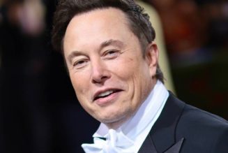 Elon Musk Clarifies That He Makes Final Decisions on Twitter Posts