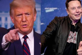 Elon Musk Reinstates Donald Trump on Twitter