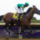 Flightline Retires Undefeated After Breeders’ Cup Classic Win