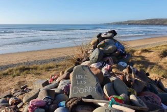 Harry Potter Fans Asked to Stop Leaving Socks at Dobby’s Grave on Wales Beach: “It Could Put Wildlife at Risk”