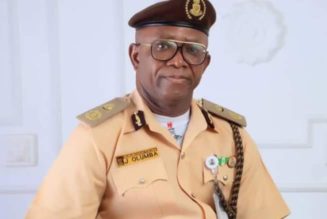 Japa: The rate at which Nigerians are leaving the country is worrisome — Nigerian Immigration Service