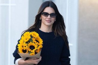 Kendall Jenner Wore Underwear With Nothing But Tights for a Busy Day Out in L.A.