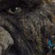 Netflix’s ‘TROLL’ Brings Nordic Folklore to Life