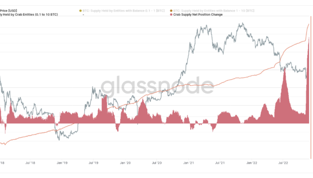 Non-whale Bitcoin investors break new BTC accumulation record