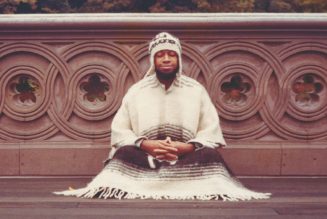 Numero Group to Reissue Laraaji’s Earliest Work