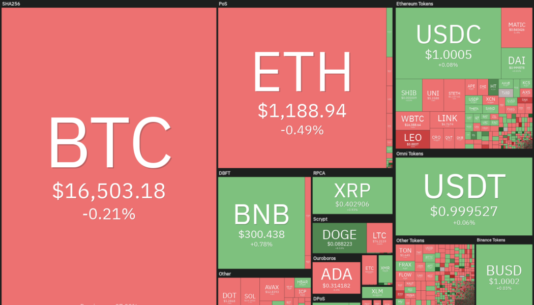 Price analysis 11/25: BTC, ETH, BNB, XRP, ADA, DOGE, MATIC, DOT, LTC, UNI