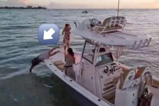 Romantic Man Dives Into Ocean to Rescue Engagement Ring