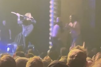 Stage Crasher Takes Guitar to the Face at Black Crowes Concert