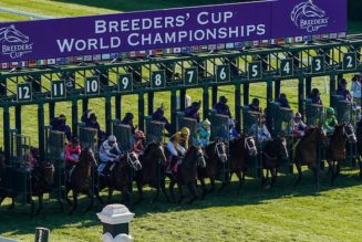 Top 5 Horse Racing Betting Apps For Breeders Cup