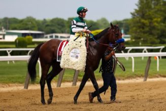 Top 5 Offshore Sportsbooks To Bet On The Breeders Cup In ANY US State